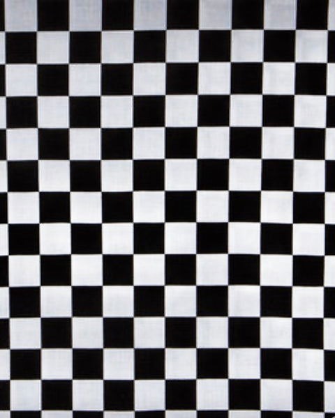 Incredible Terry Towels - Zero Waste Reusable Cleanup Towels for Kitchens/Bathrooms